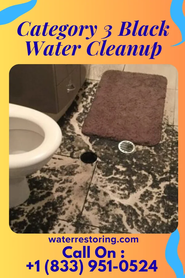 Category 3 Black Water Cleanup in Le Mars, IA