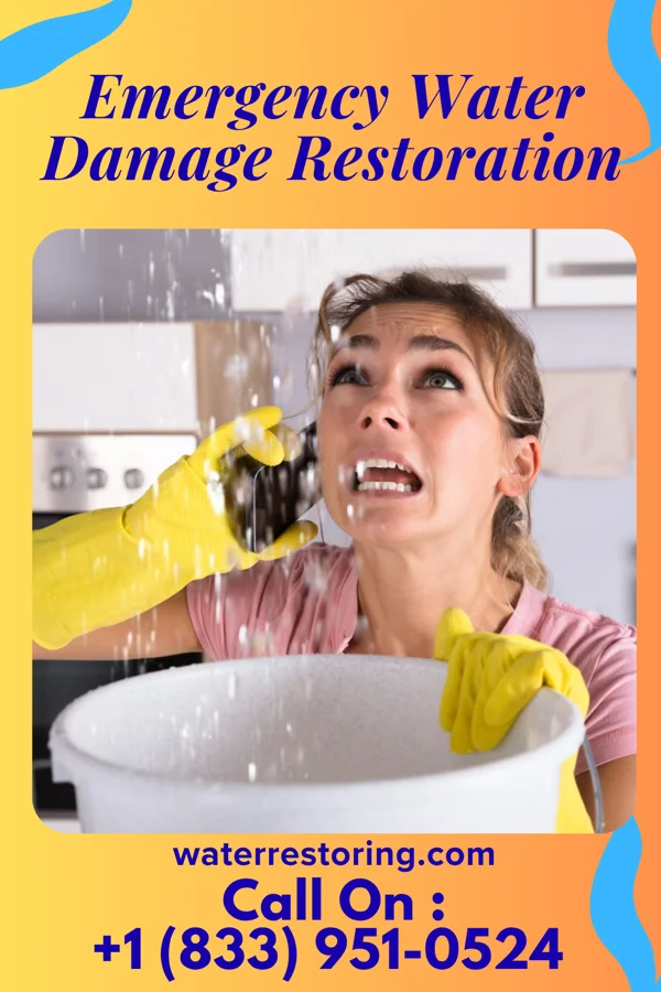 Emergency Water Damage Restoration in Le Mars, IA