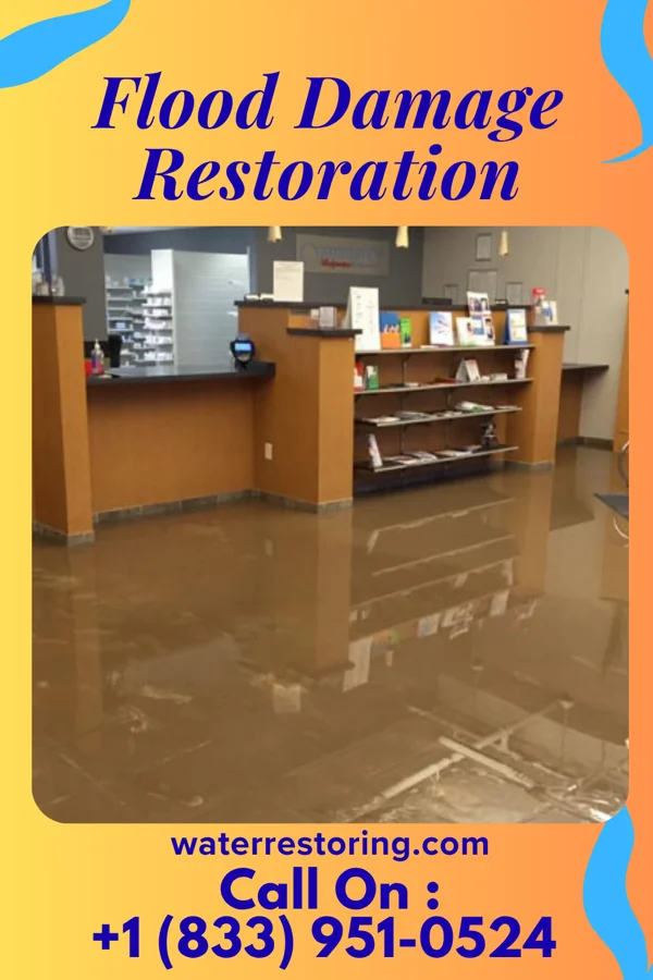 Flood Damage Restoration in Le Mars, IA
