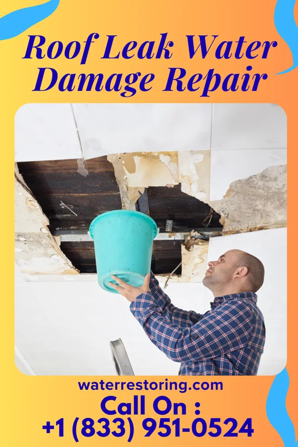 Roof Leak Water Damage Repair in Le Mars, IA